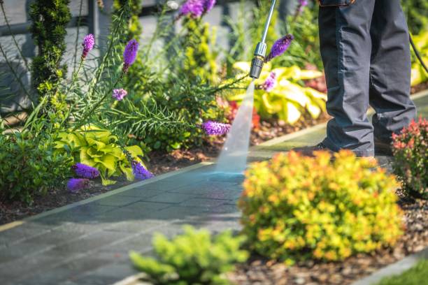 Best Parking Lot Cleaning in South Ack, NY